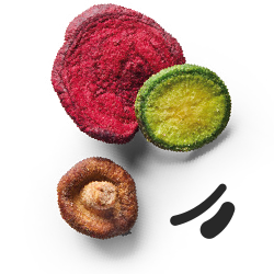 Μανιτάρια και άλλοι χορτοφαγικοί καρποί